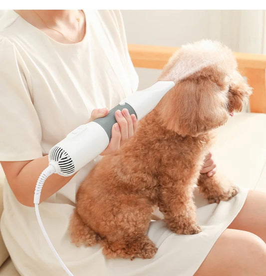 All-in-One 3-in-1 Dog Grooming Dryer & Brush