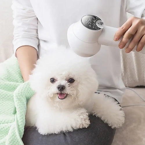 2-in-1 Smart Dog Hair Dryer — Fast, Gentle Grooming for Your Pet