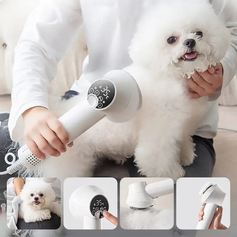 2-in-1 Smart Dog Hair Dryer — Fast, Gentle Grooming for Your Pet